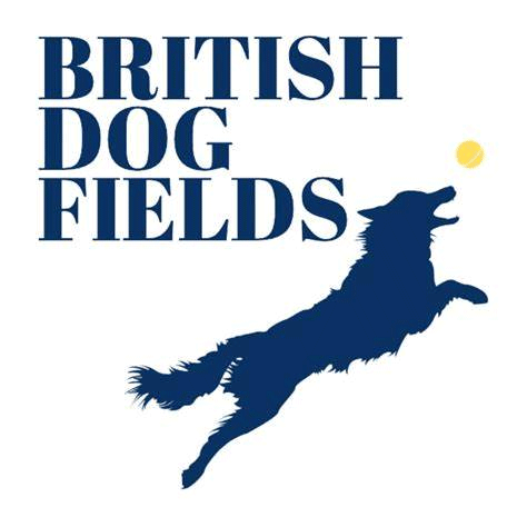 BDF logo