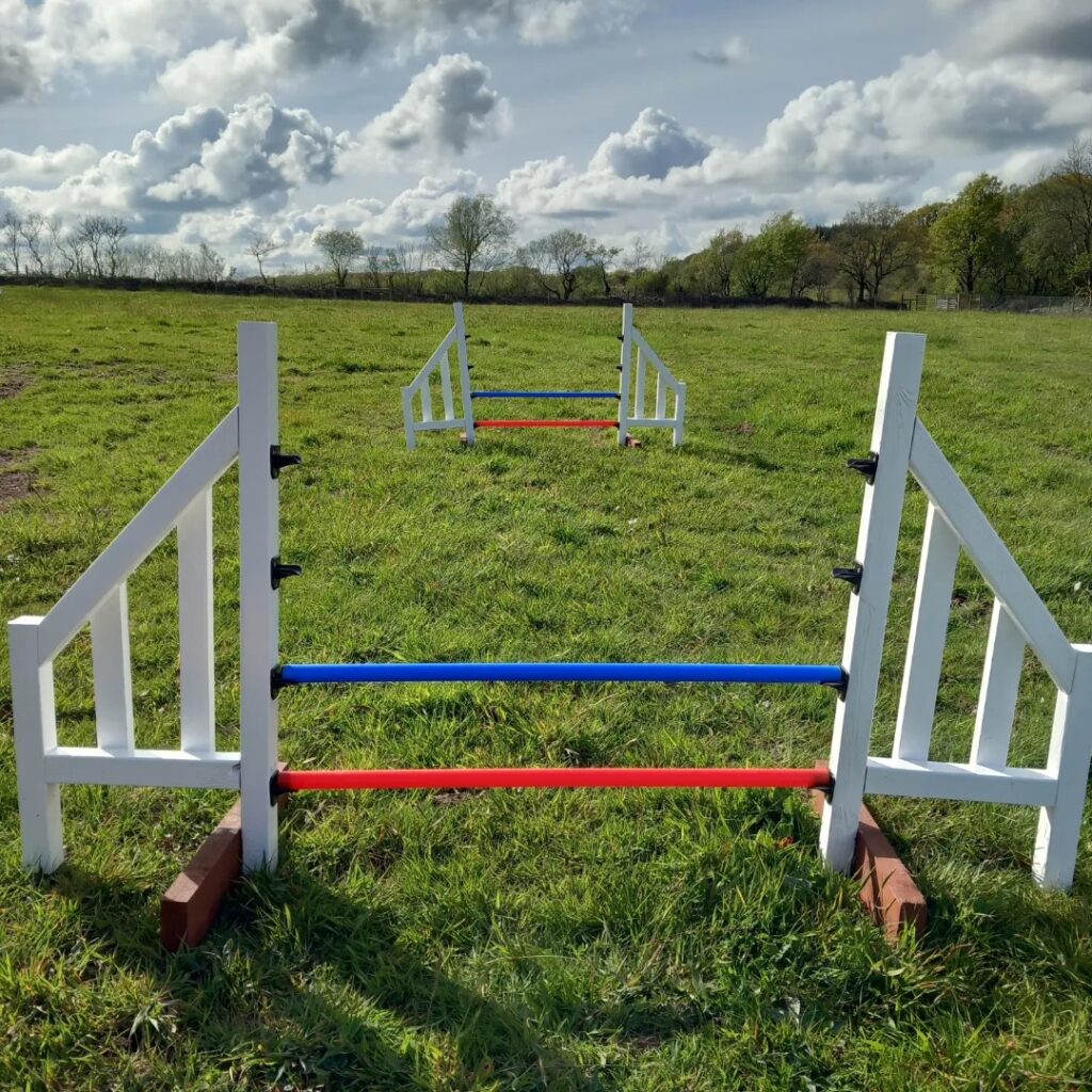 Winkleigh wag and walk gallery photo