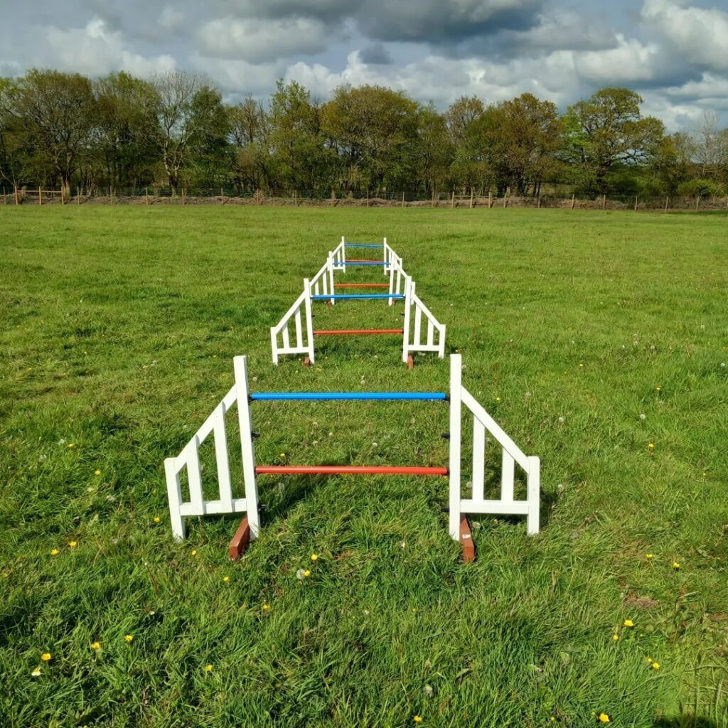 Winkleigh wag and walk gallery photo